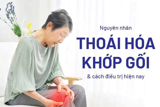 Thoái hóa khớp gối có nguy hiểm không? Hướng dẫn điều trị từ bác sĩ tại phòng khám Y Khoa Thái Dương 1 Thoái hóa khớp gối có nguy hiểm không